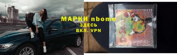 гашик Верея