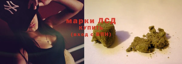 гашик Верея