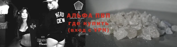 ПСИЛОЦИБИНОВЫЕ ГРИБЫ Бородино
