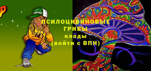 ПСИЛОЦИБИНОВЫЕ ГРИБЫ Бородино