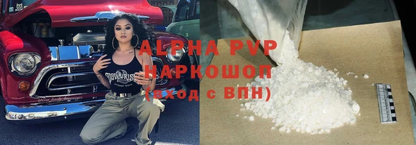 ПСИЛОЦИБИНОВЫЕ ГРИБЫ Бородино