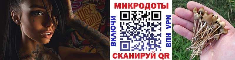 Галлюциногенные грибы мухоморы  Нижневартовск 